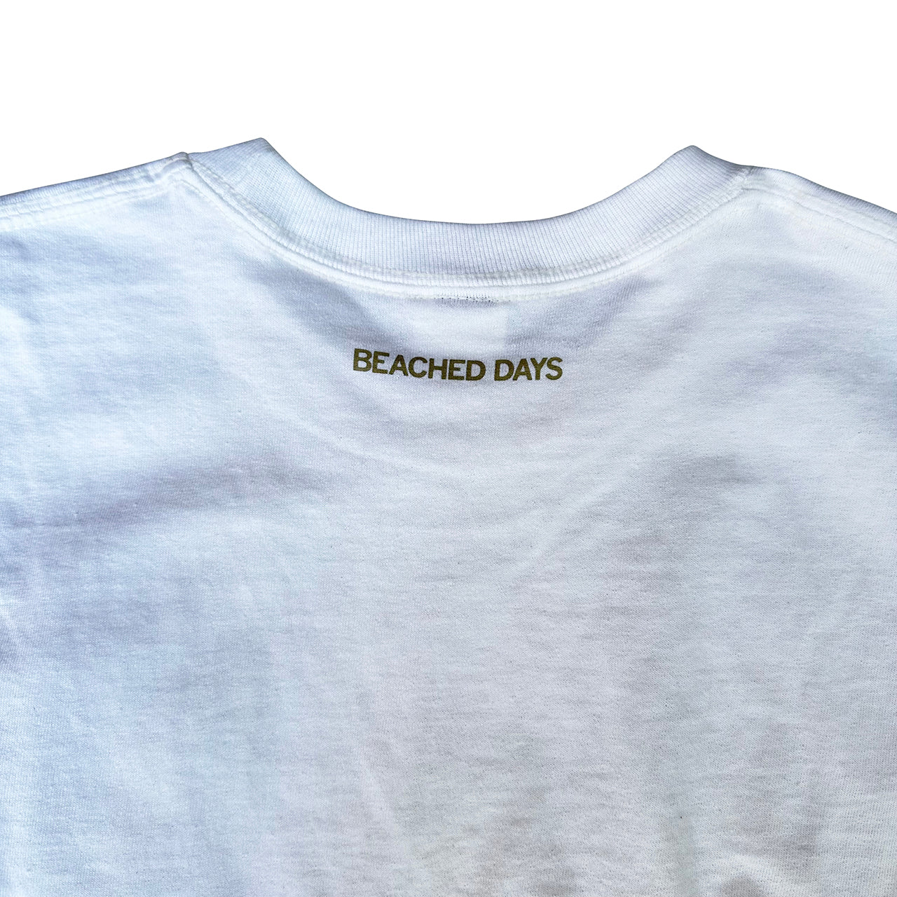 BDロゴロングスリーブ Tee