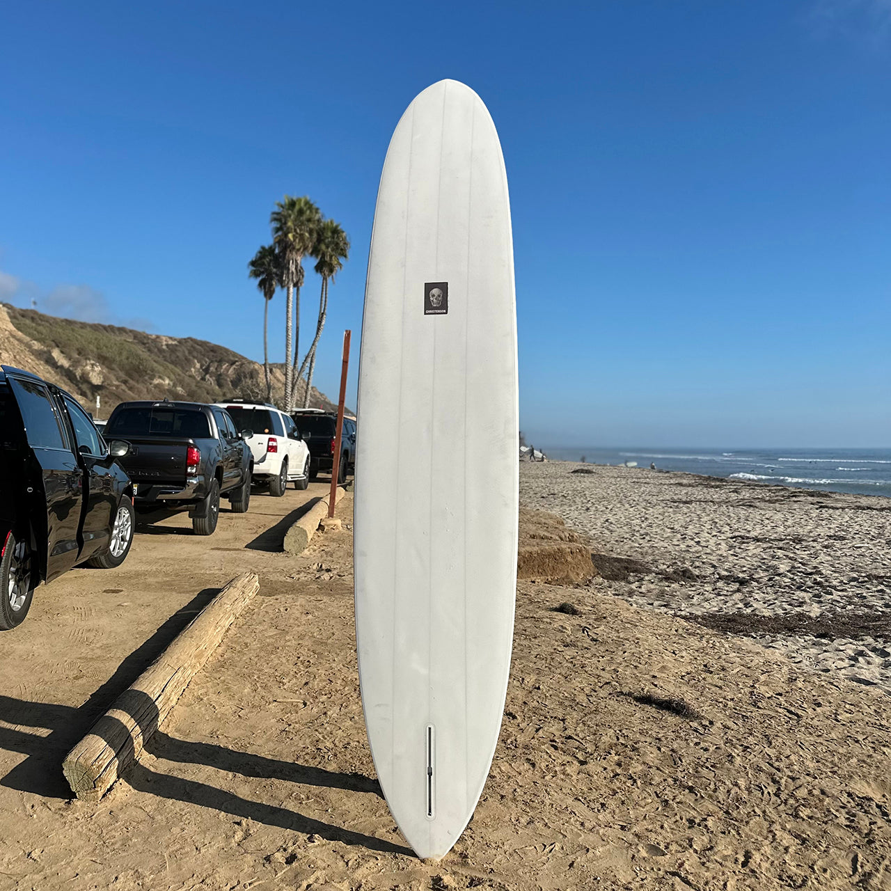 Aquatic Division The Cliff BOX LOGO 9'5"