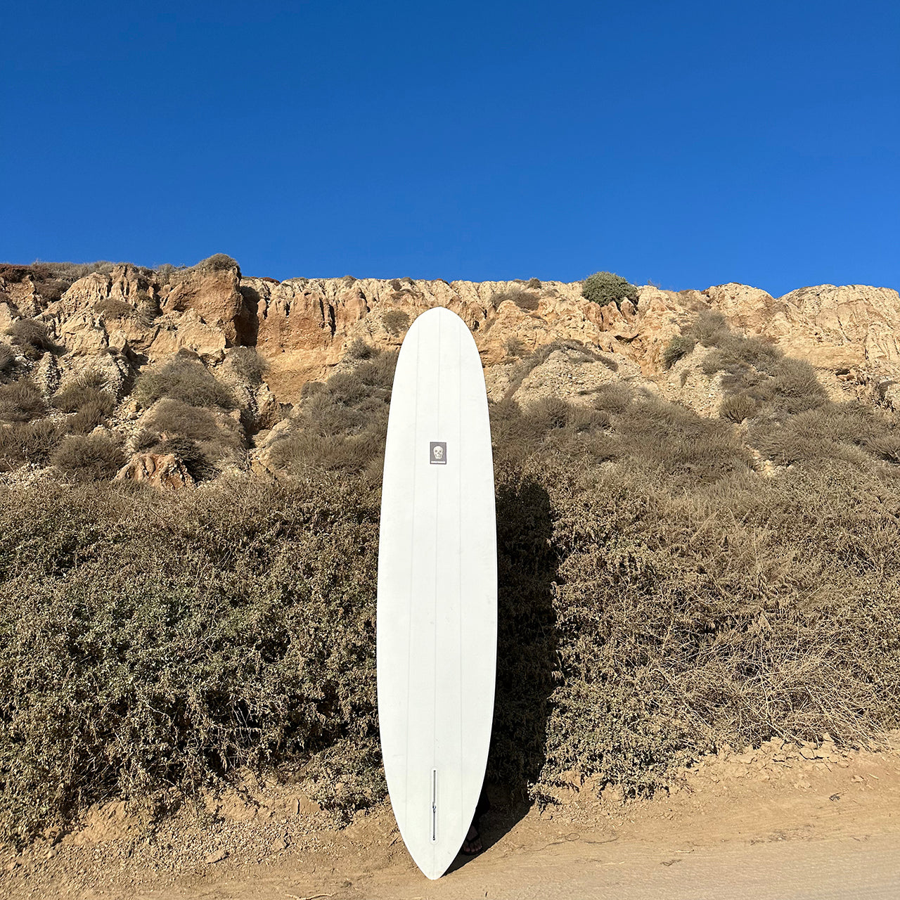 Aquatic Division The Cliff BOX LOGO 9'5"