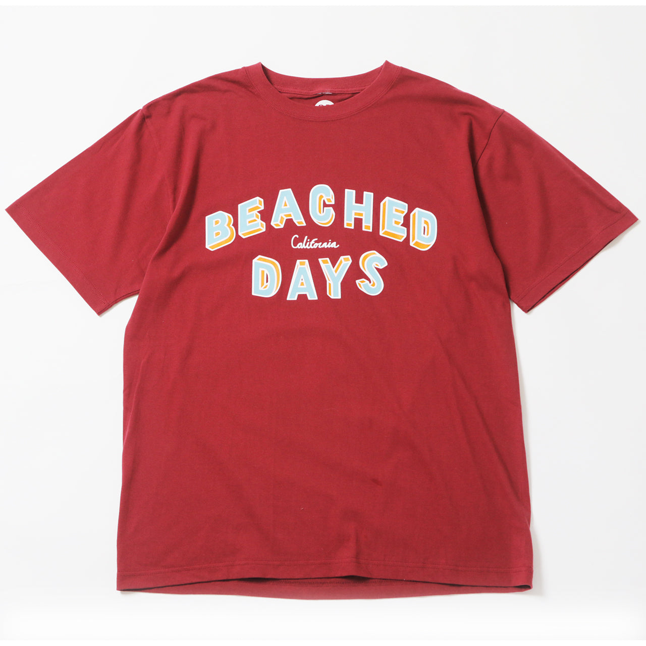 BDカレッジティー ビーチドデイズ 公式 BEACHED DAYS マサスカルプデザイン Masa Sculp Tシャツ 半袖 メンズ レディース