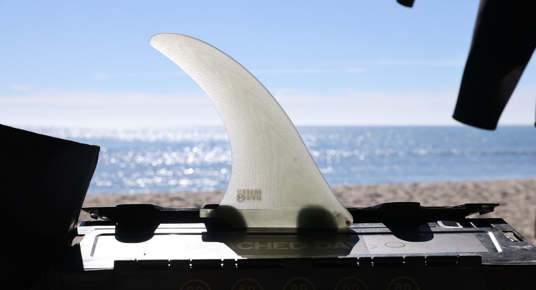 第15回　特別編　AQUATIC DIVISION フィン〜SINGLES