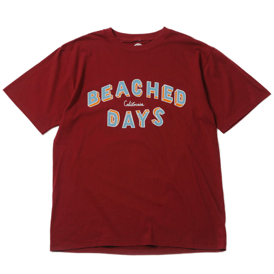 BDカレッジ Tee