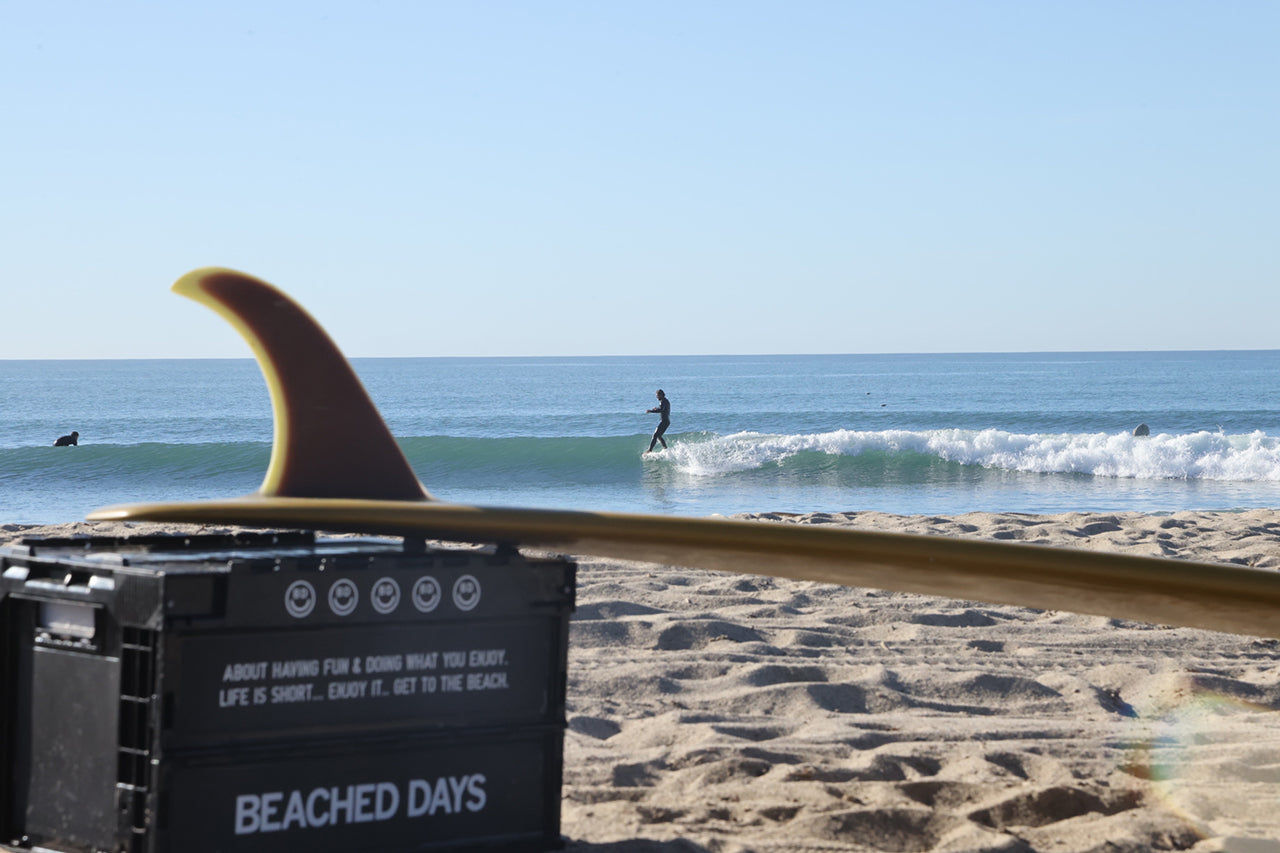 新品！　BEACHED DAYS The Commoner2.0 9'6” 新品！ BEACHED DAYS The Commoner2.0 9'6” The Commoner 2.0 9'2