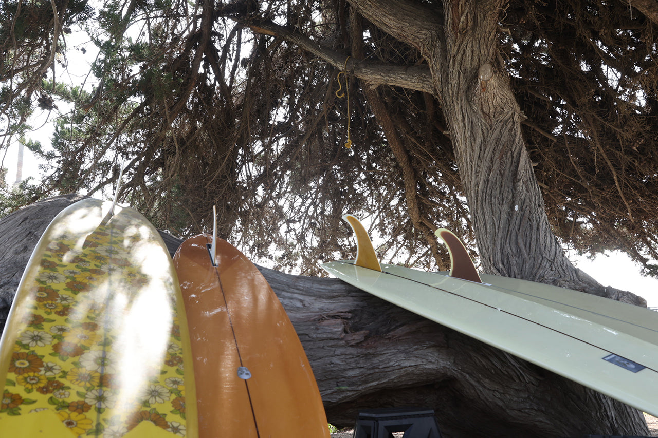 BEACHED DAYS (ビーチドデイズ) 公式サイト