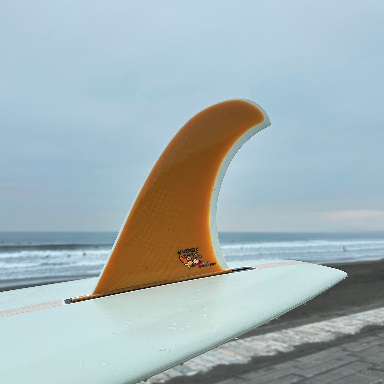 アクアティックディビジョン  JJ Wessels Pivot 9.75インチ