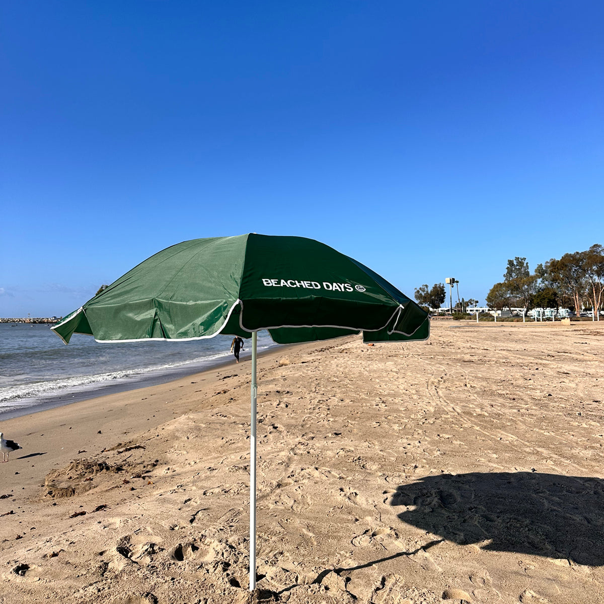 Beach Umbrella